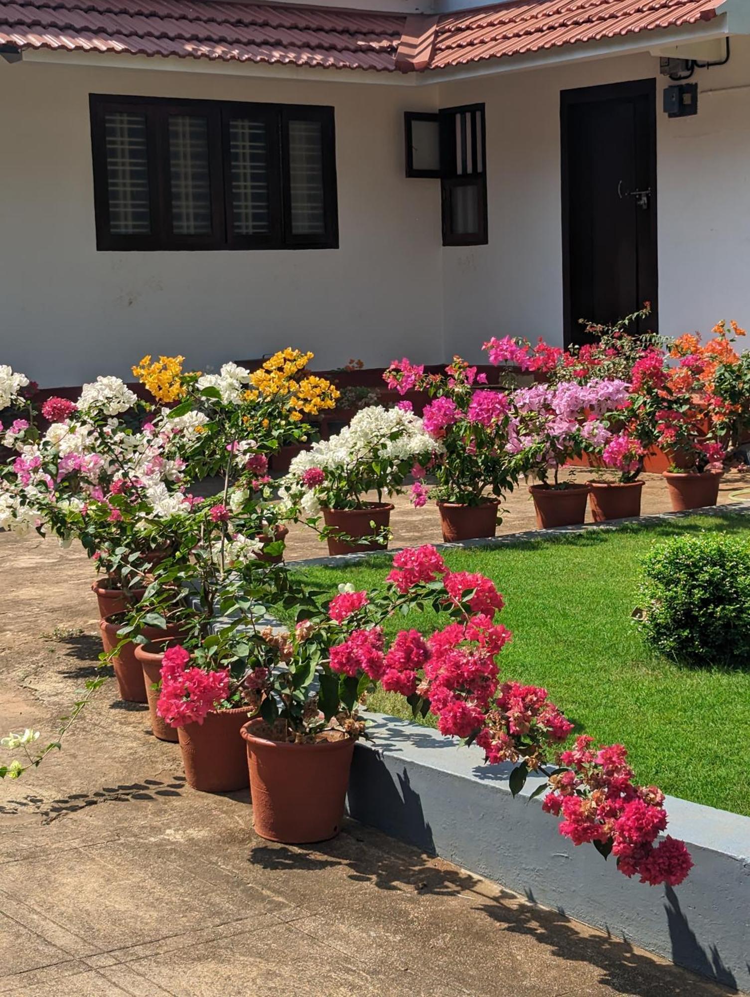 Hill Top Homes Kannur Εξωτερικό φωτογραφία