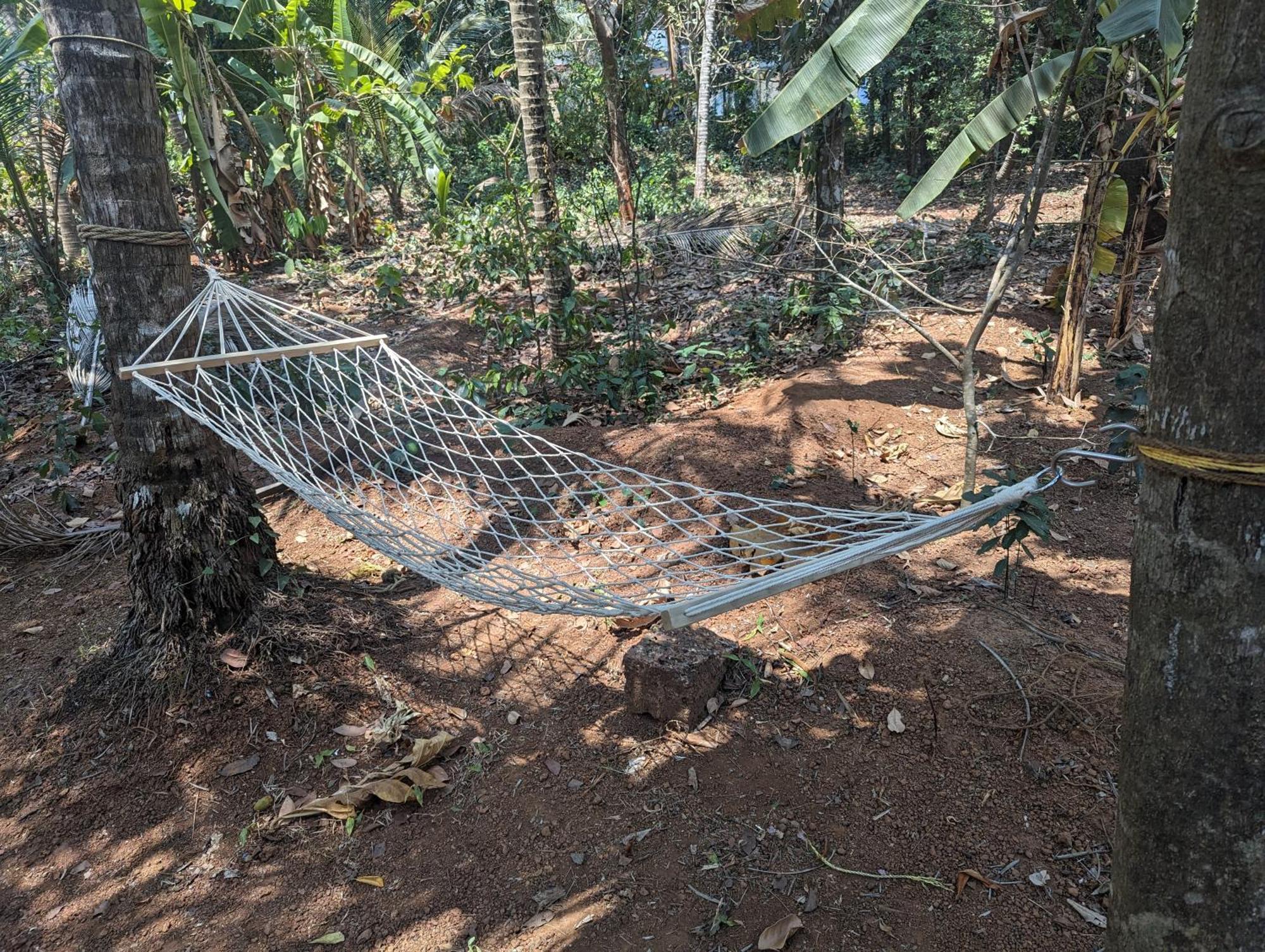 Hill Top Homes Kannur Εξωτερικό φωτογραφία